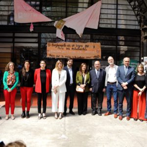 La UNLP desarrollará un medicamento de bajo costo para la IVE