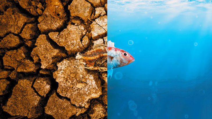 Modelos matemáticos para predecir inundaciones y sequías