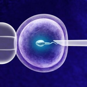 UNR: Revolucionaria técnica de reproducción asistida